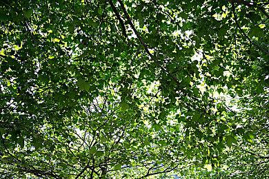 女神异闻录系列Steam特卖 《女神异闻录3：Reload》新史低